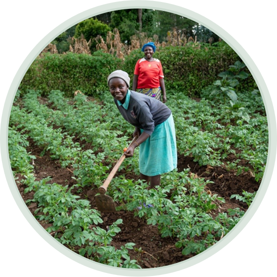 Scaling Digital Services to Reach 5 Million Farmers in East Africa